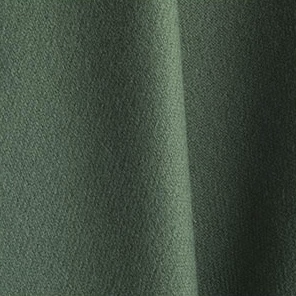 5120 - Sage Green Solid