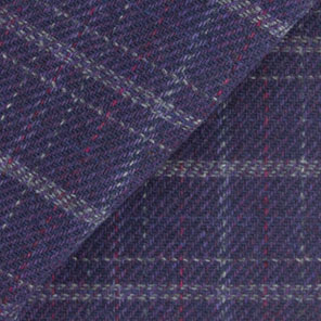 8926 - Blue Plaid