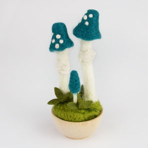 Blue Roundhead Mushroom Kit