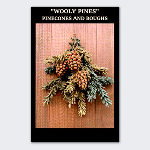 Wooly Pines Pinecones And Boughs Pattern